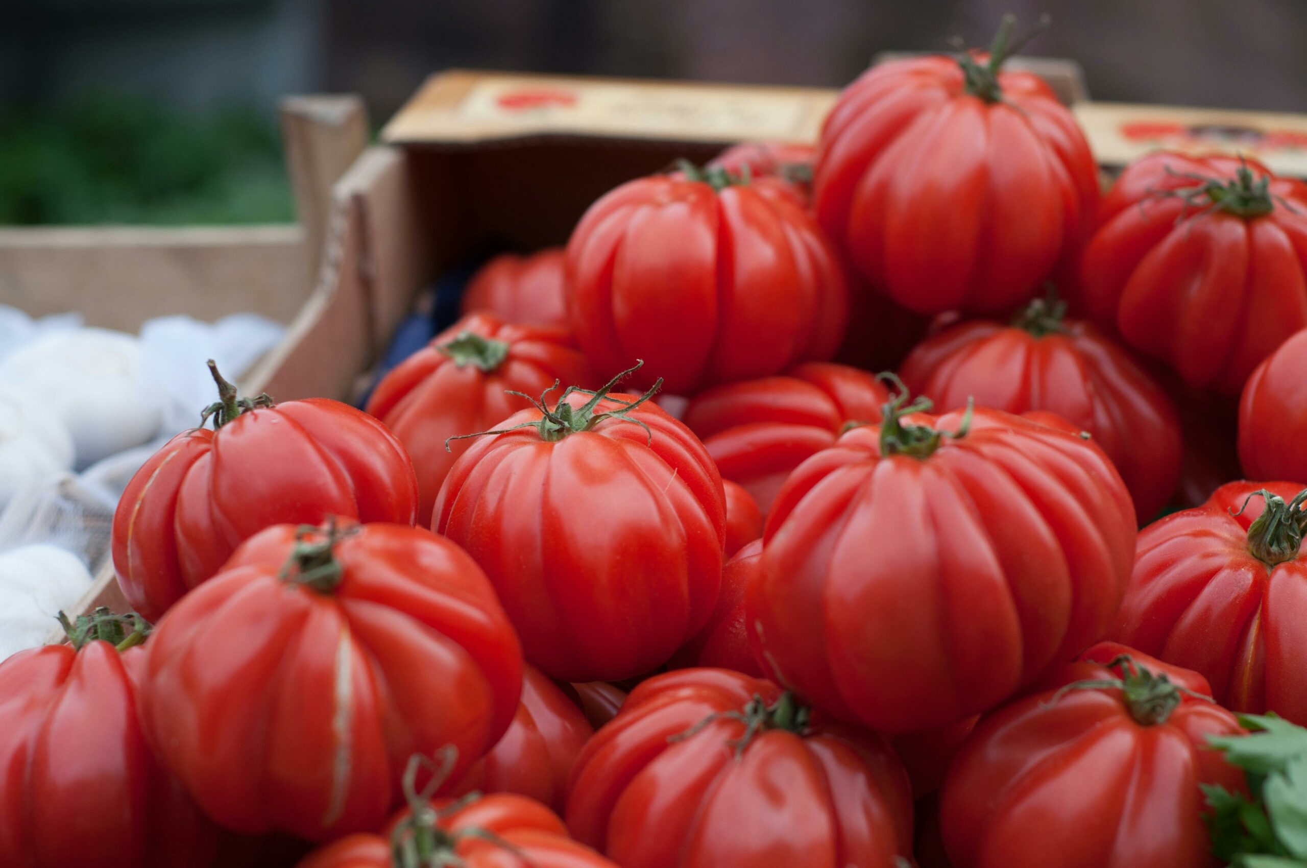 Pesto de tomates