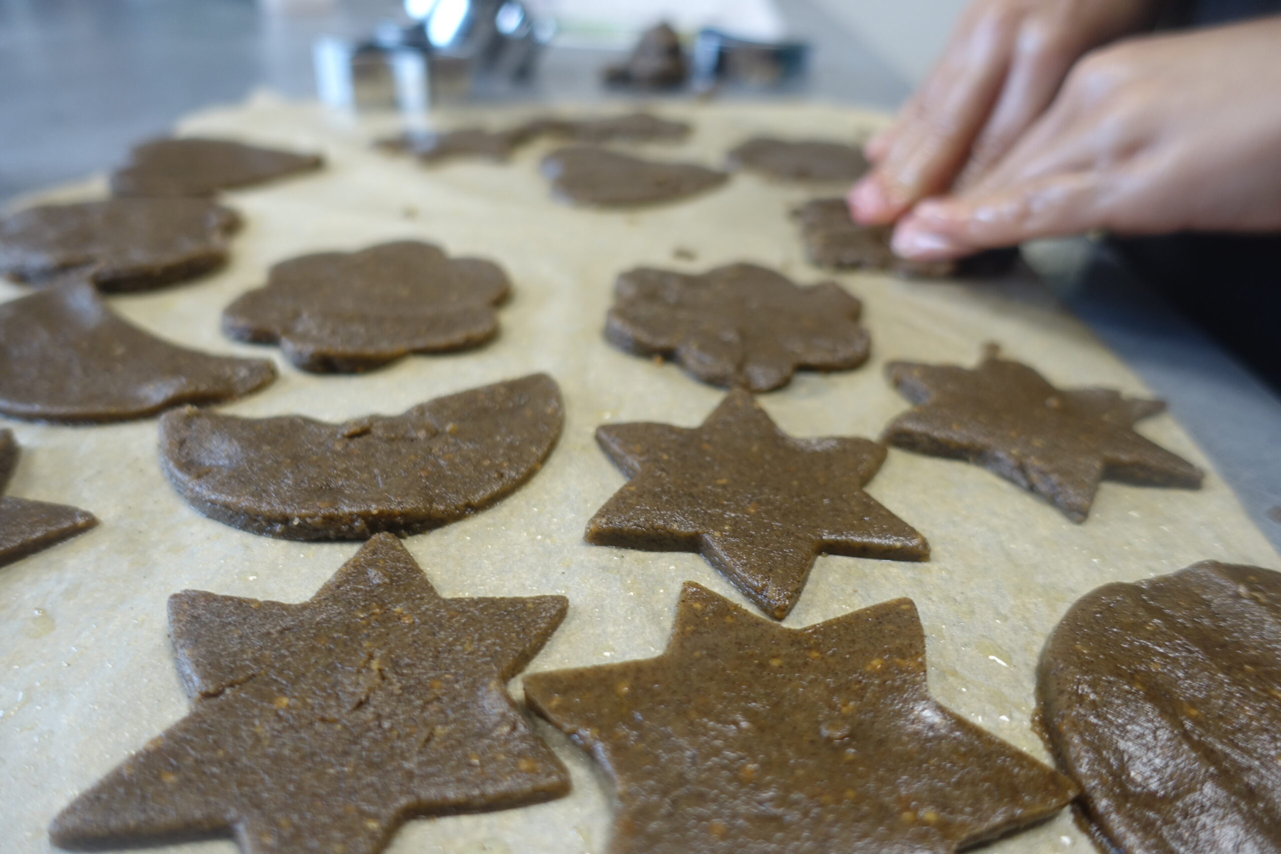 Spéculoos au sarrasin